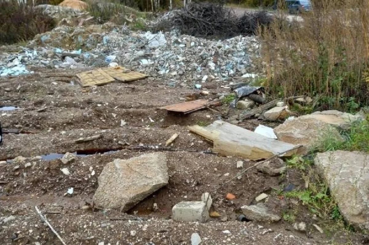    В Тверской области ликвидировали свалку, ущерб от которой составил ₽6,5 млн