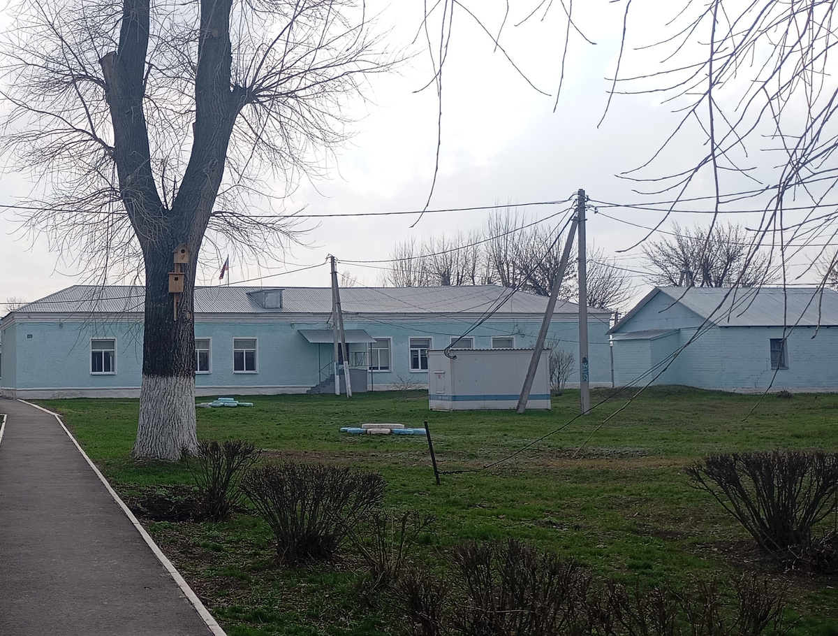 Фото автора.