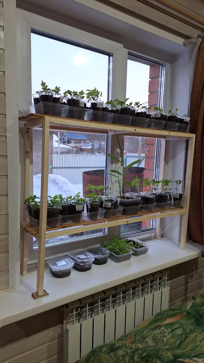 Фото автора. 28.03.2024.