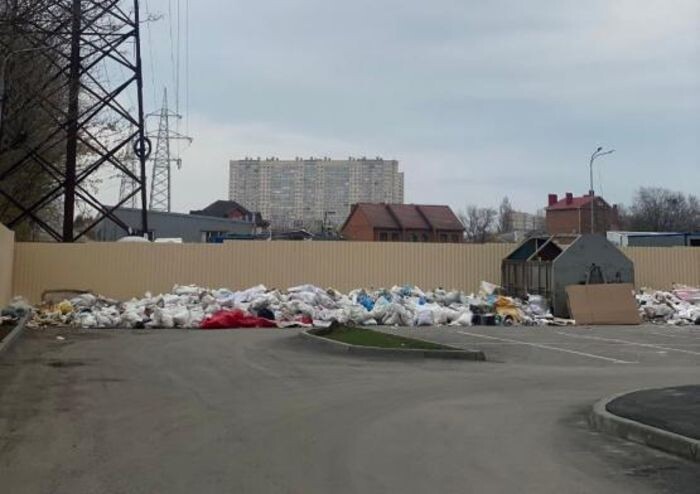 Источник фото: Соцсети