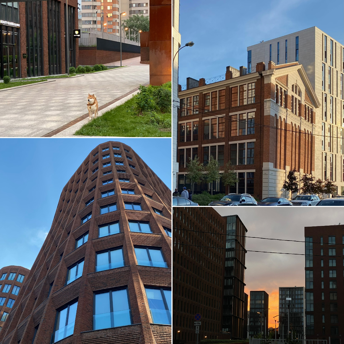 Фото автора канала. ЖК «Садовые кварталы».