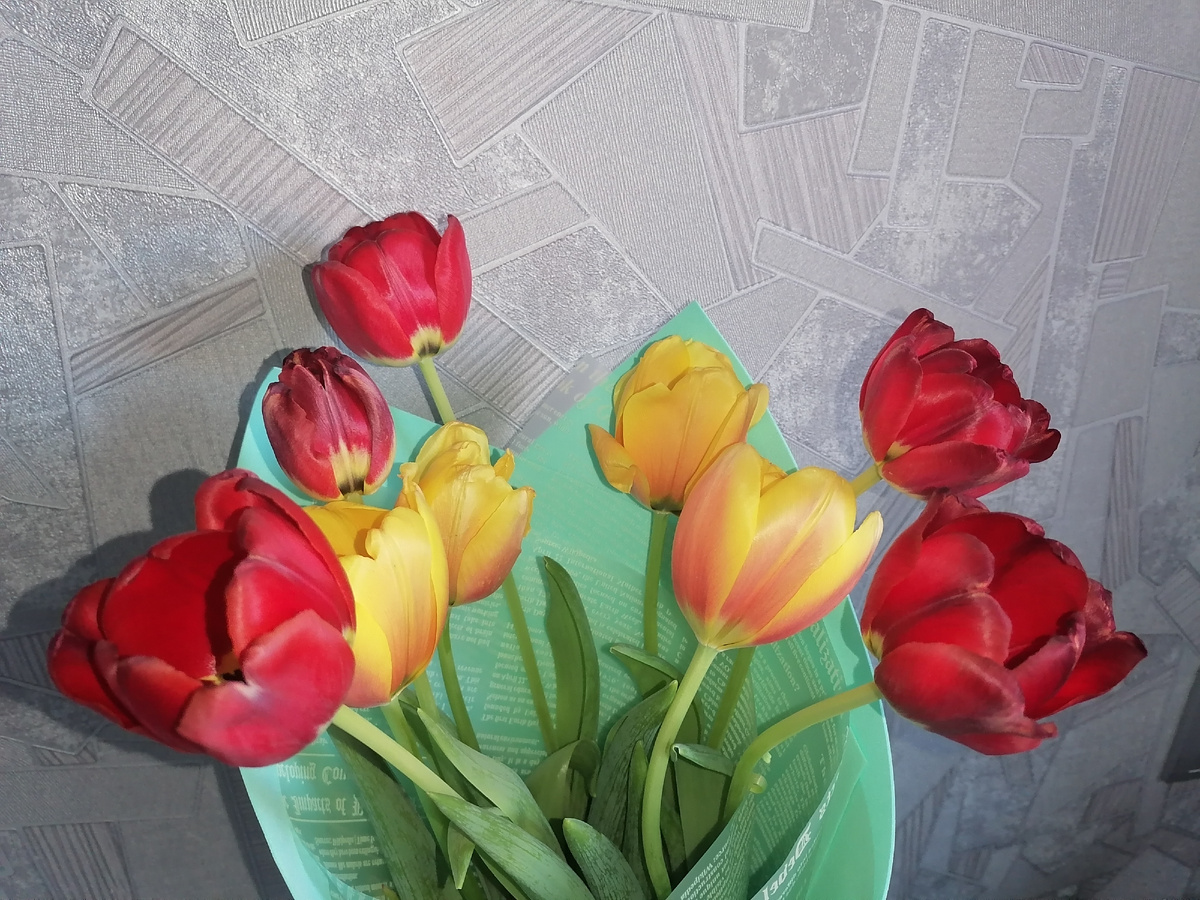 Эти же тюльпаны, только уже распустившиеся