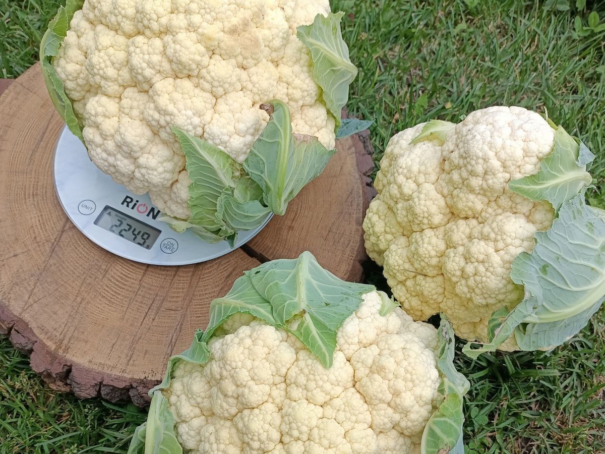 Фото нашего эксперта Тани Яковенко