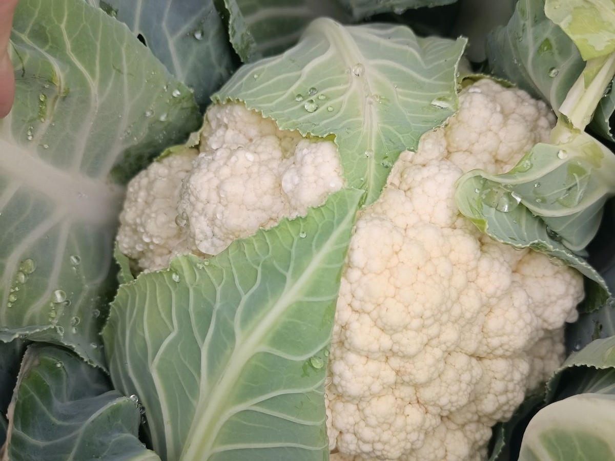 Фото нашего эксперта Тани Яковенко