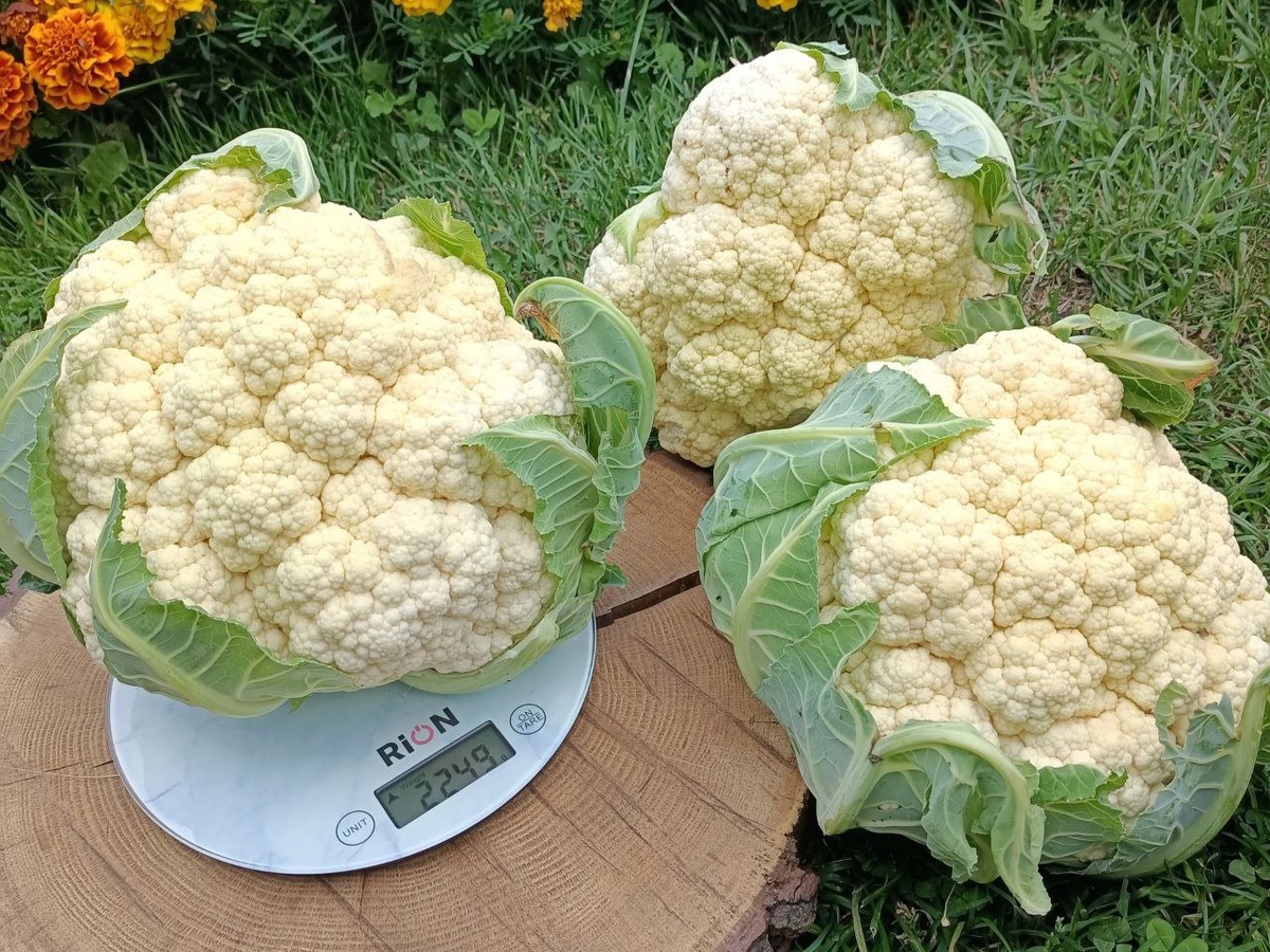 Фото нашего эксперта Тани Яковенко