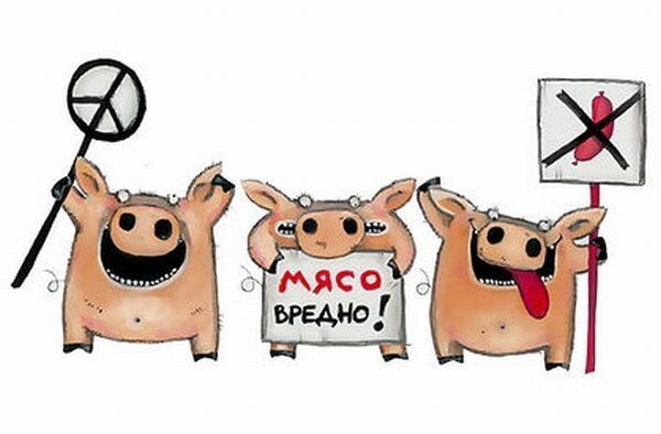 Избыточное употребление мяса вредно! Осторожно спортивное протеиновое питание. 