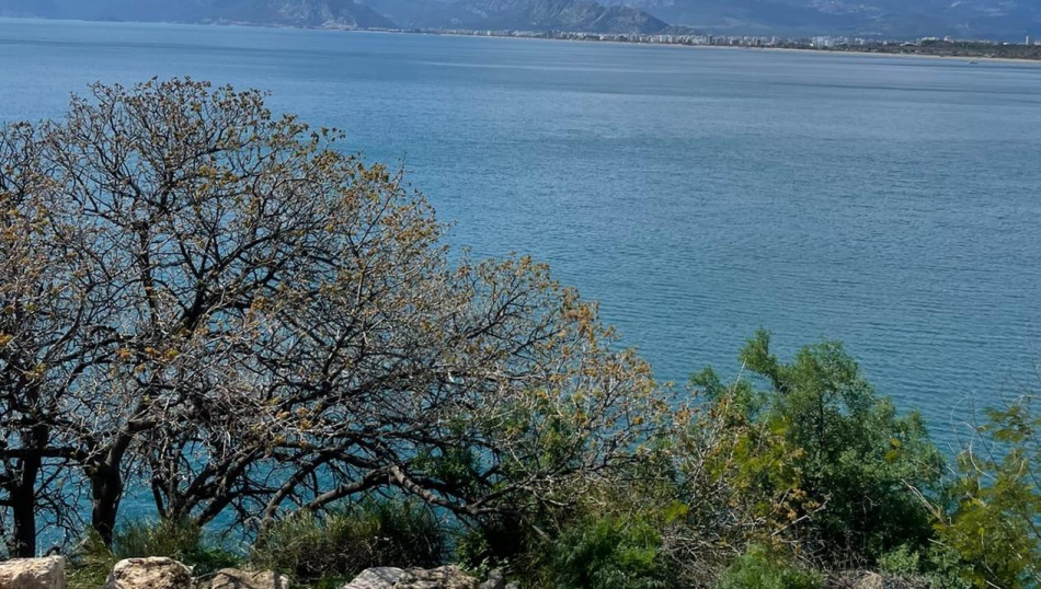 Фото: Дарья Ахтырко, «ВКонтакте»