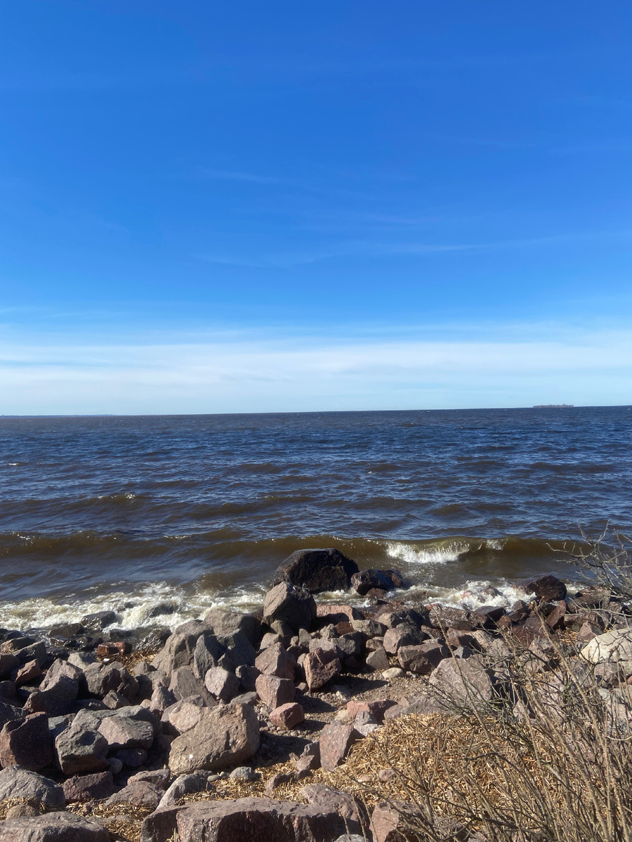 Все оттенки синего