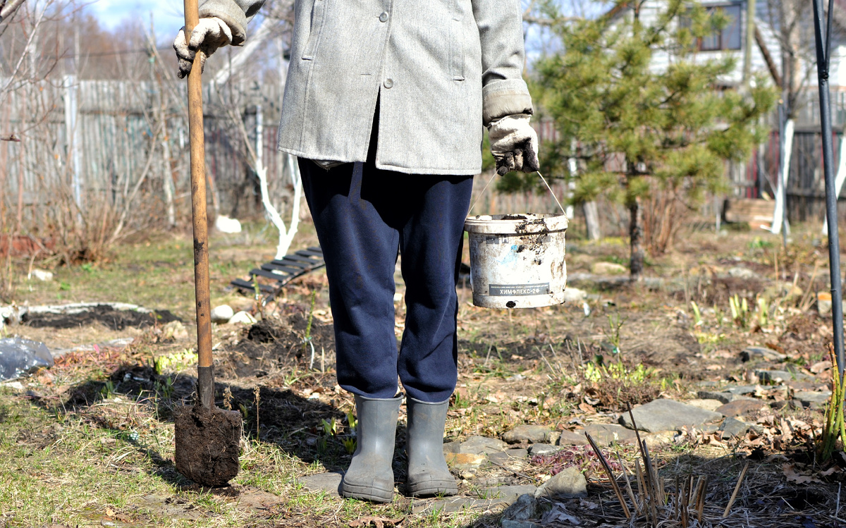 Маруся к работе готова