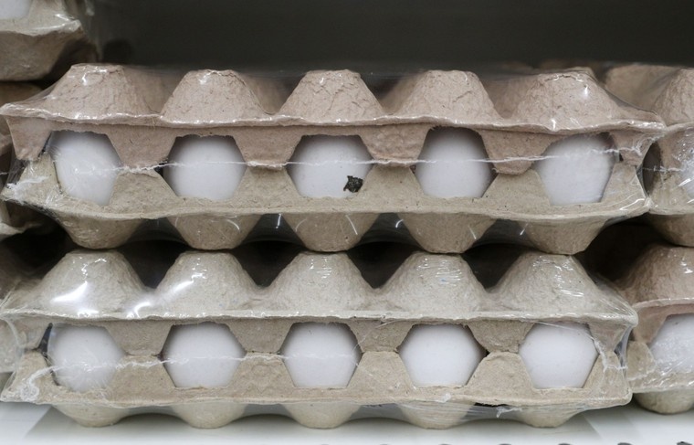    Сергей Булкин/NEWS.ru