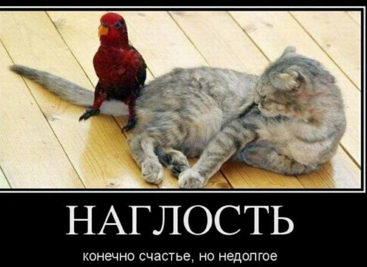 Взята на просторах сети