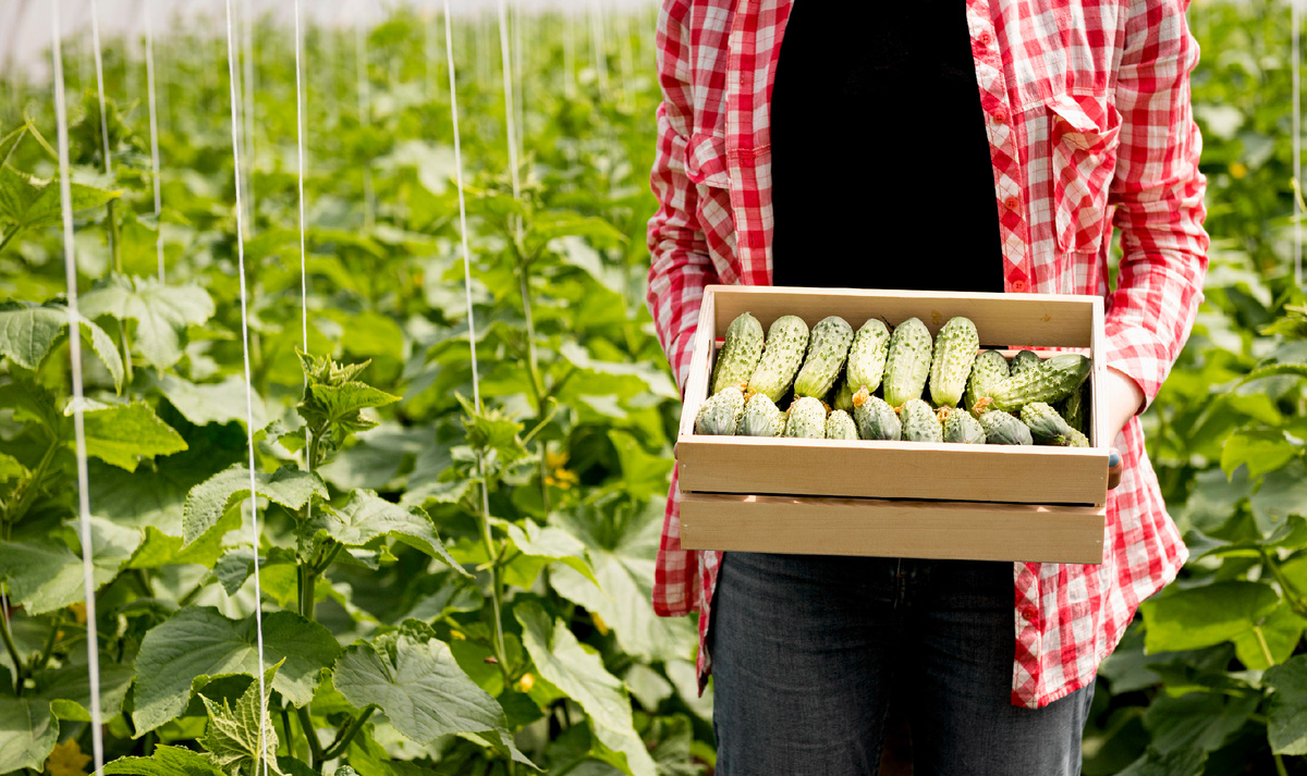 Фото: freepic.com.