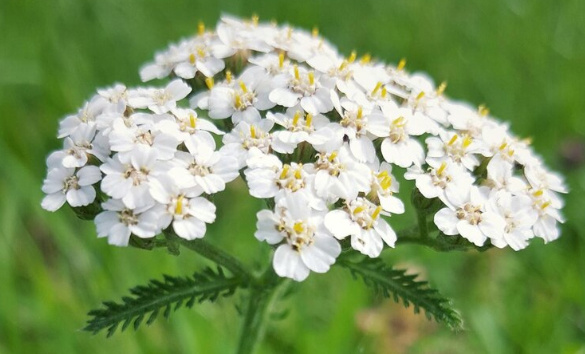 Фото: freepic.com.