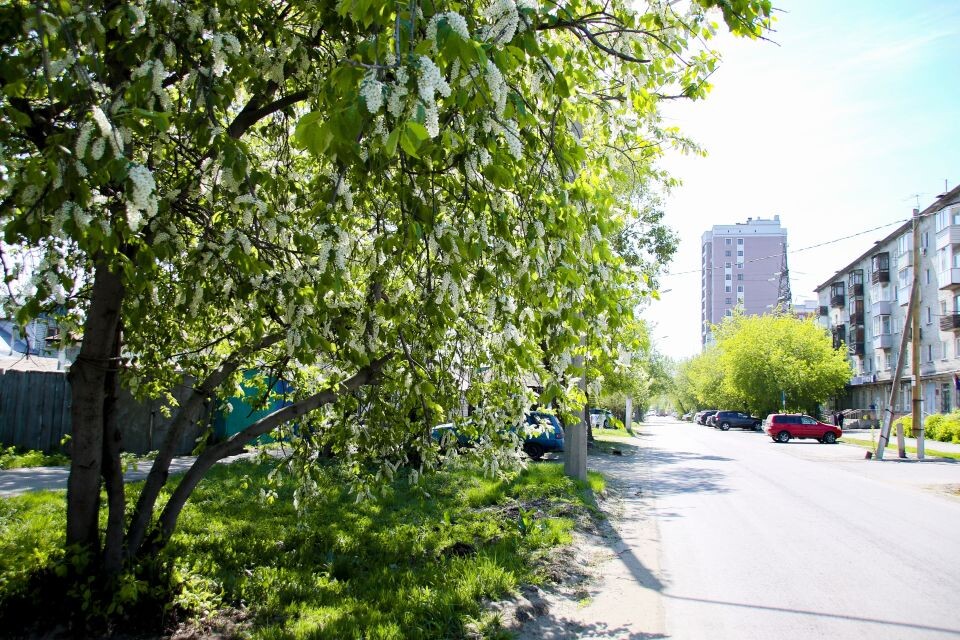    Барнаул. Весна. Источник: Виталий Барабаш