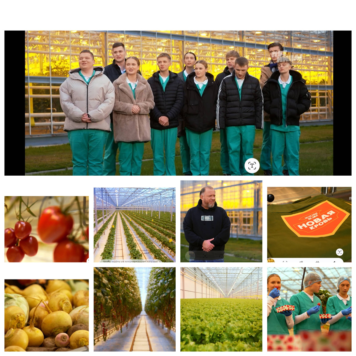 Молодые ножи.Новая кровь. Пятая серия