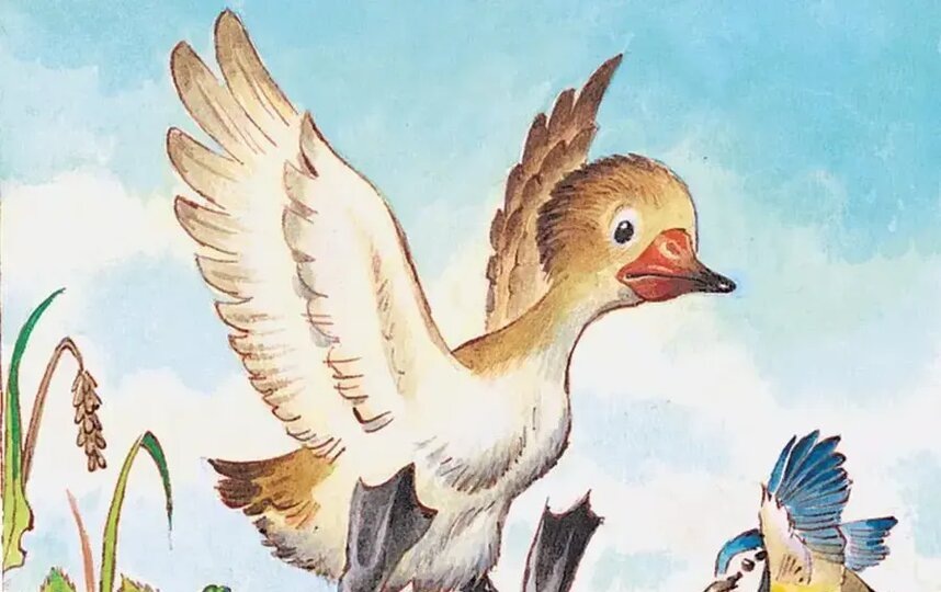    Гадкий Утёнок – знаменитый персонаж сказочника. Художник: Тони Вульф / "Серебряная книга сказок" | Издательство "Малыш"