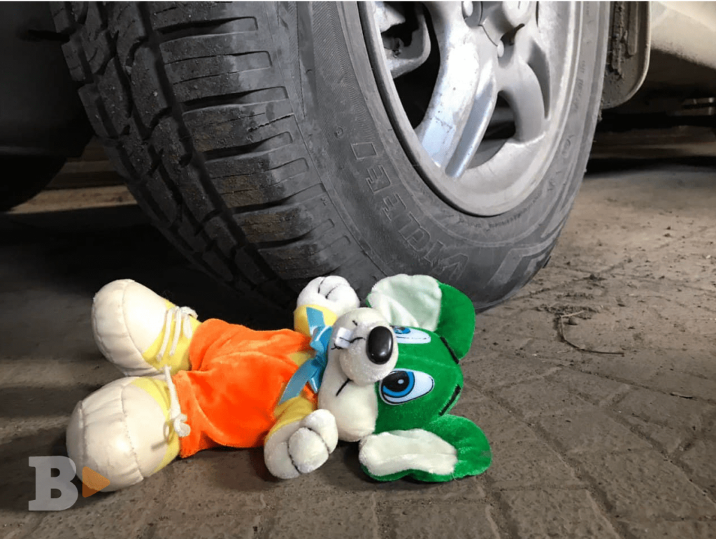    Фото: «В курсе.ру Алена Калашникова