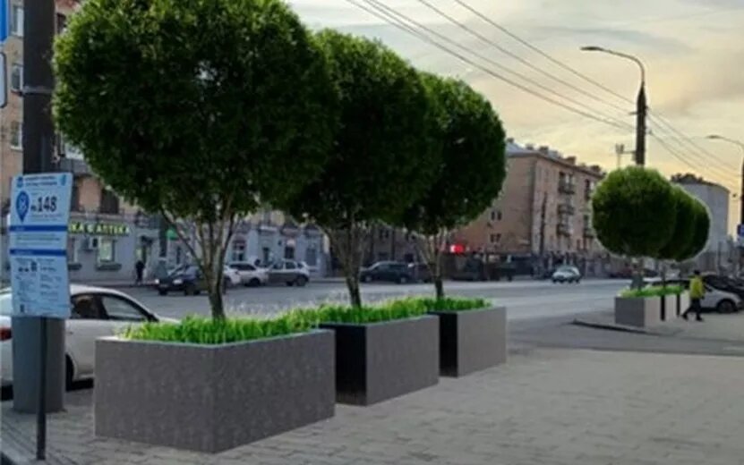    Более 70 деревьев и кустарников высадят на ул. Ленина в Ижевске