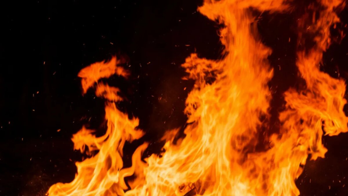    Сгенерировано ИИ