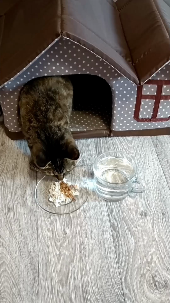 Принеси, унеси. Поноси на ручках. Не трогай меня, я в печали🤣 Зато заядлая огородница🤗🤗🤗. 