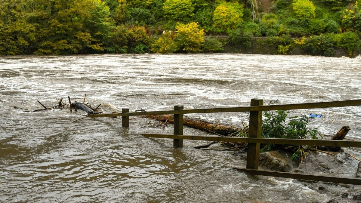    Фото: Ceri Breeze/Shutterstock/Fotodom