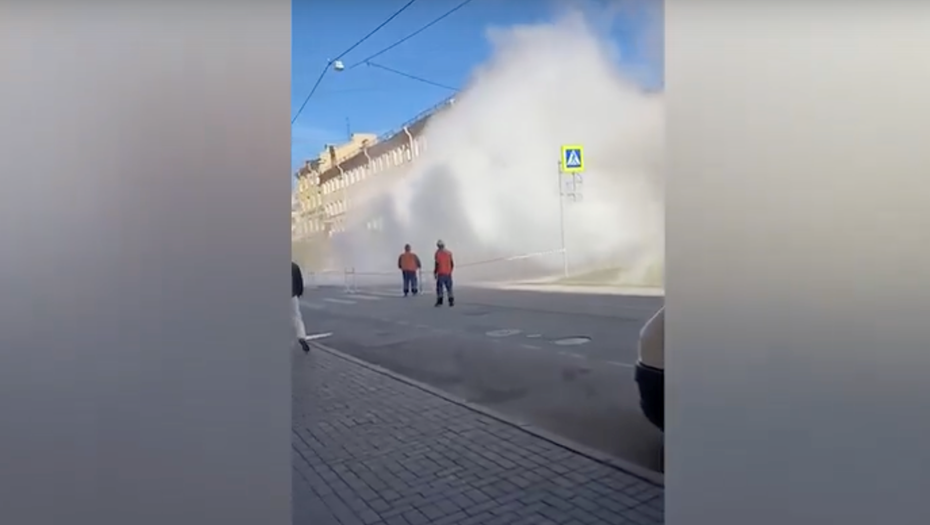    Автор фото: 78.ru