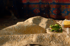 Лягушка-шизанушка