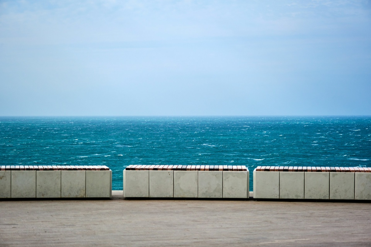 Фото: Dmitry Gaidashev / Unsplash