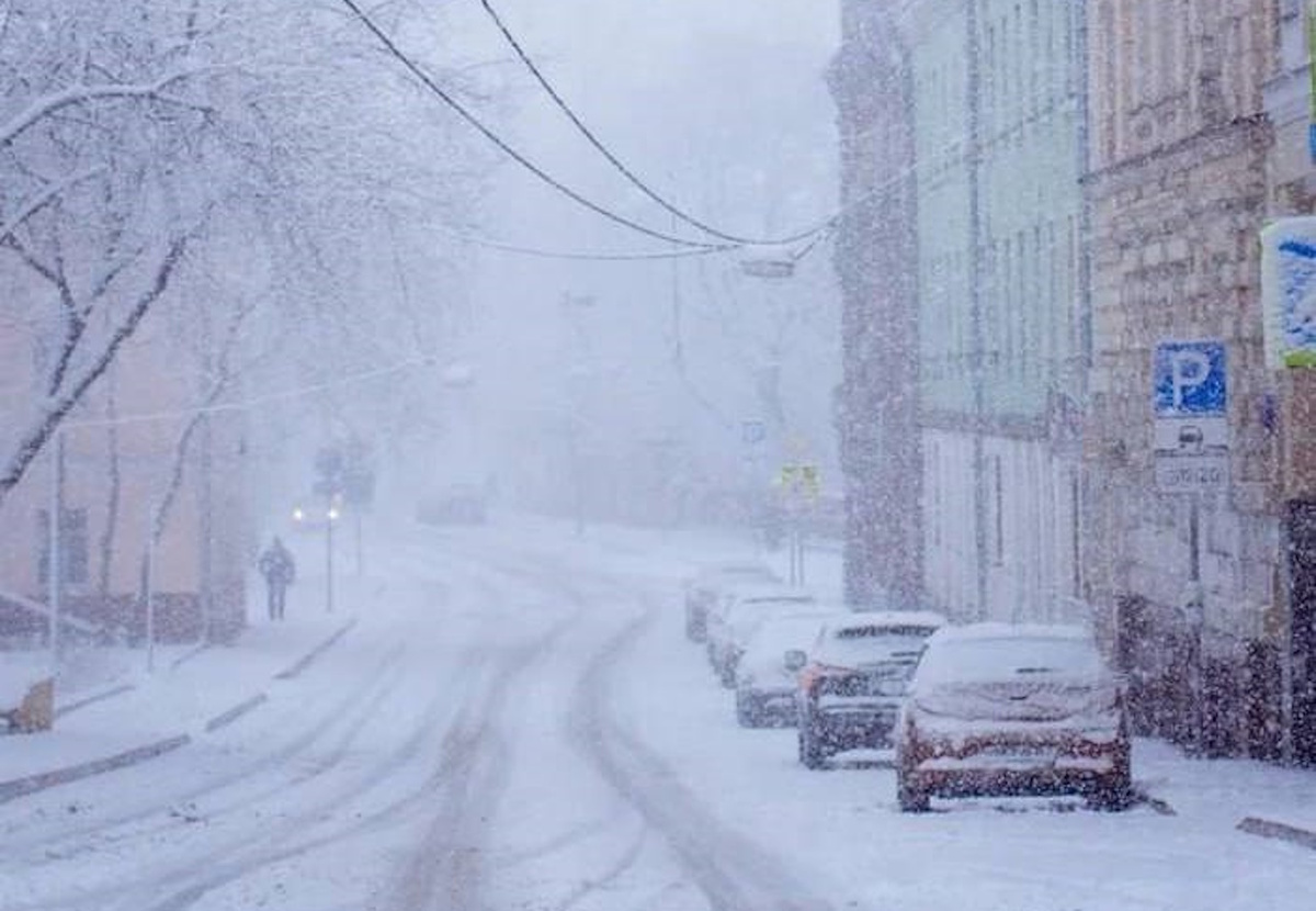 Фото: @kartotekaio