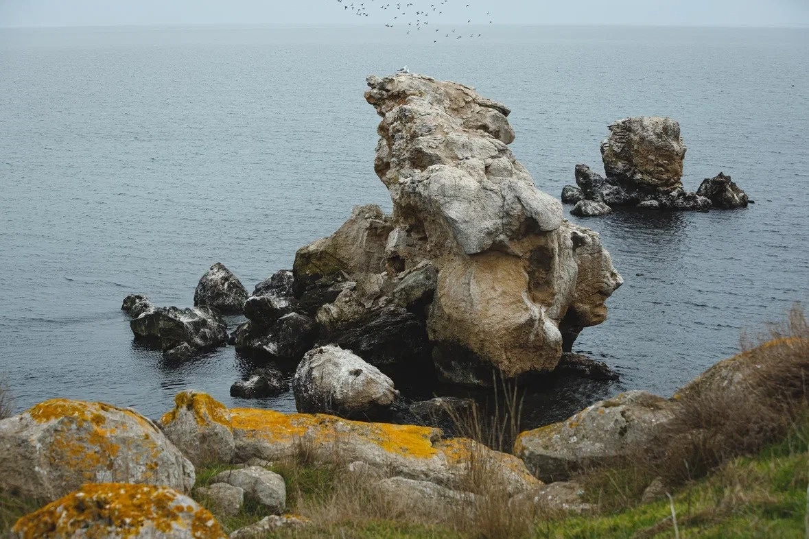 Казантипский заповедник // Фото: Андрей Чумаченко