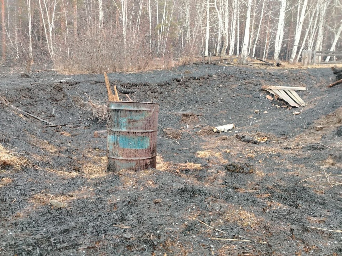     Сжигание мусора обернулось крупным лесным пожаром на юге Красноярского края