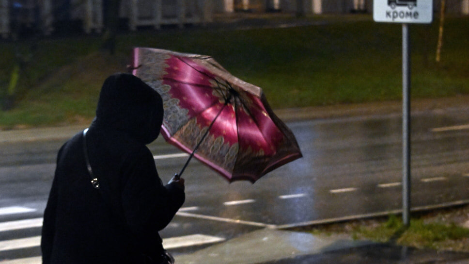 Фото: Анатолий Жданов / Коммерсантъ