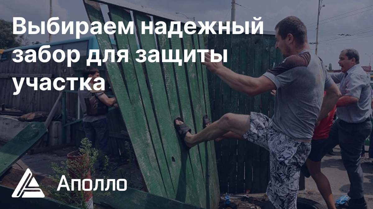 Как выбрать забор