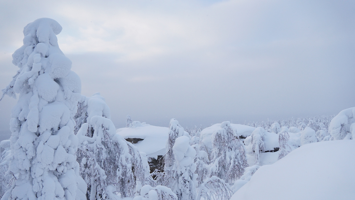 Каменный город, февраль 2025г