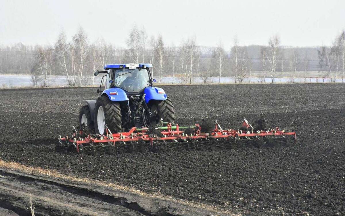    Липецкие аграрии засеяли яровыми 13 тысяч гектаров Министерства сельского хозяйства Липецкой области