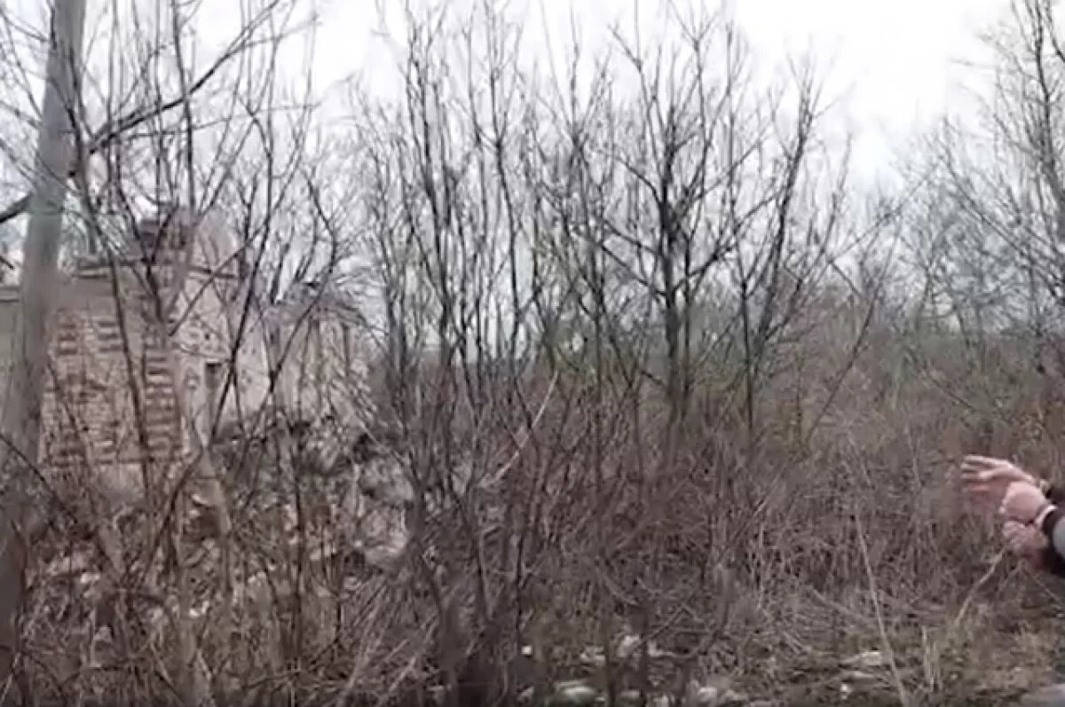    Под Пензой сельчанин лишил Интернета 200 граждан, срезав кабель кусачками