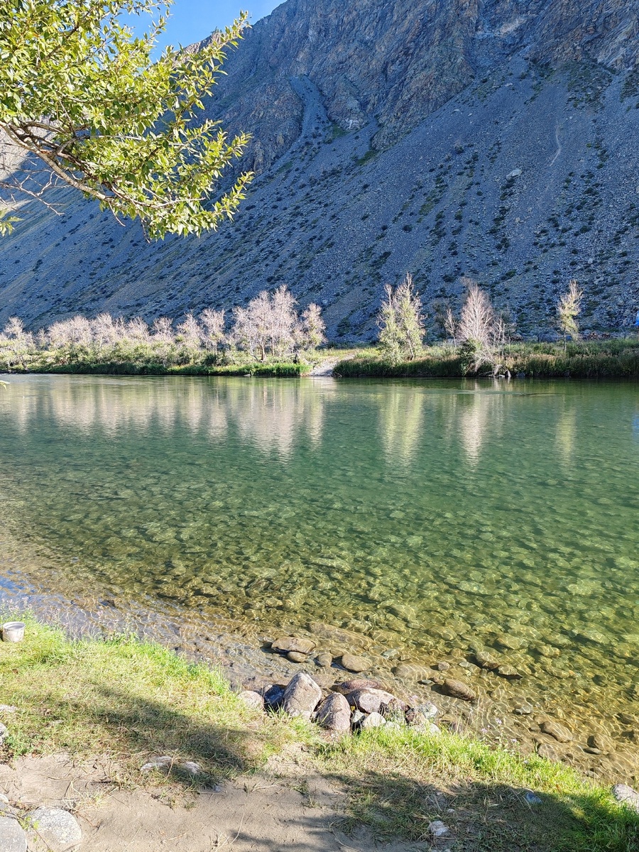 Источник: https://vk.com/wall-41116567_443058 / Фото Ирины Карачевой