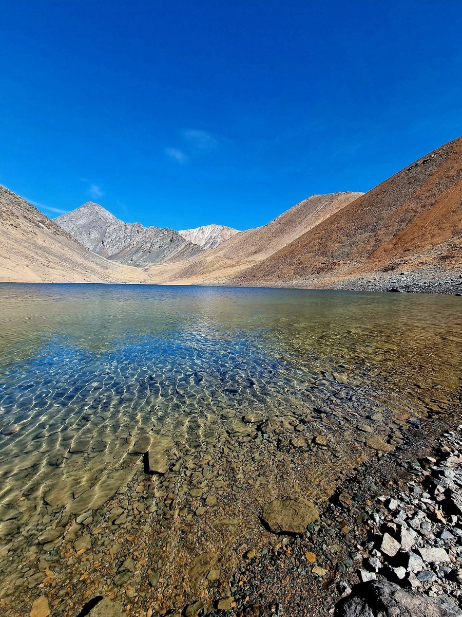 Источник: https://vk.com/wall-41116567_455842 / Фото Алина Танкевич