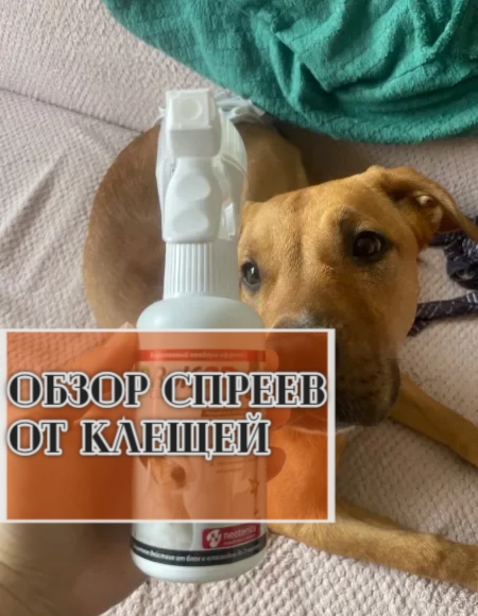 Разбор спреев для собак от клещей