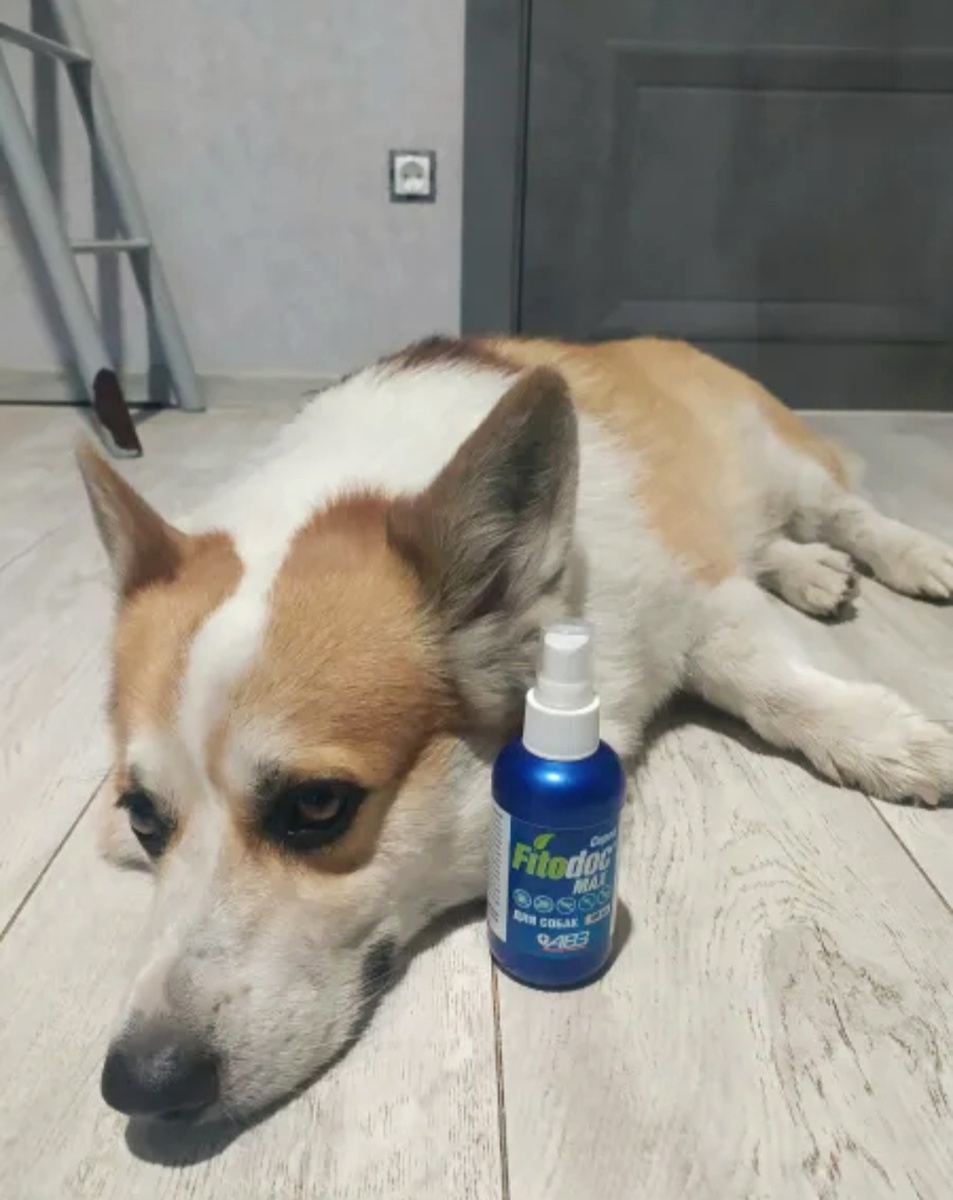 Био спрей от клещей на основе масел