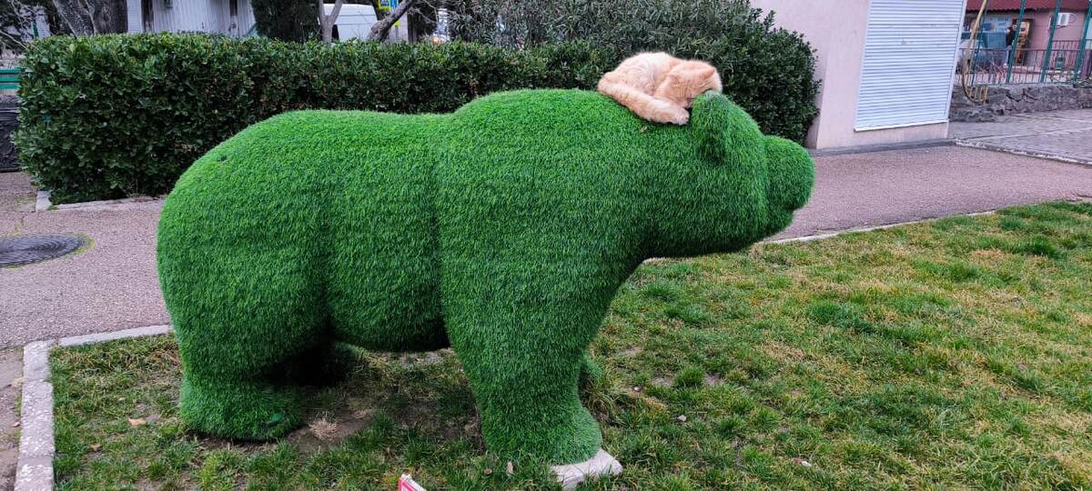 Хорошего вечера вам.