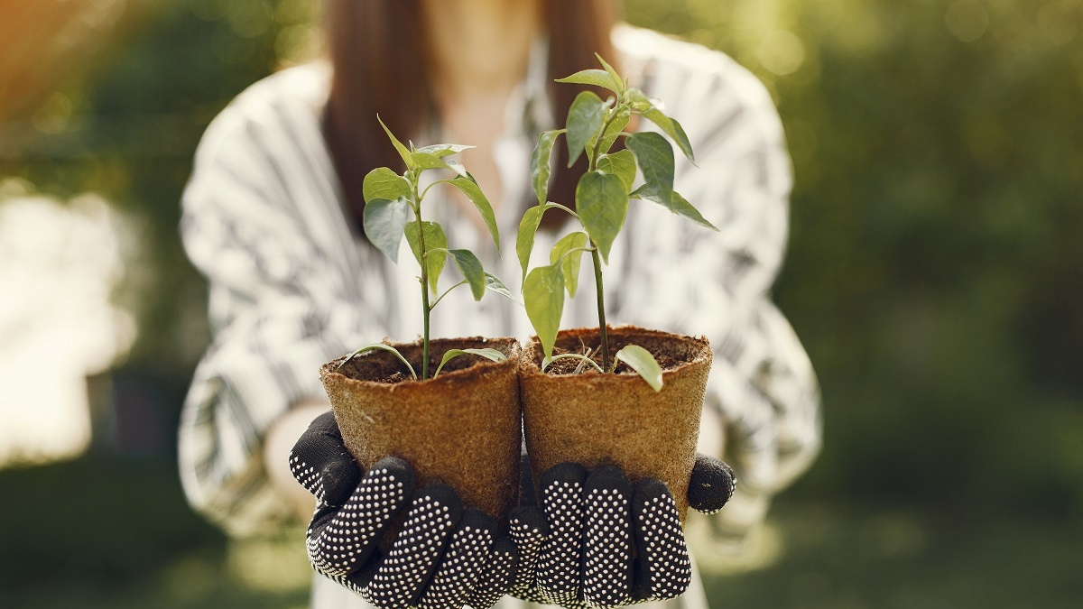    Что сажать в апреле, если не сделали этого раньше? Фото: Freepik