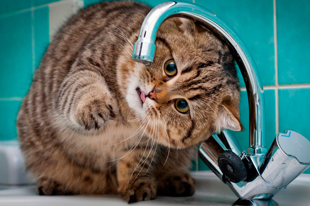 С проблемой слабого напора воды можно обратиться в свою обслуживающую компанию