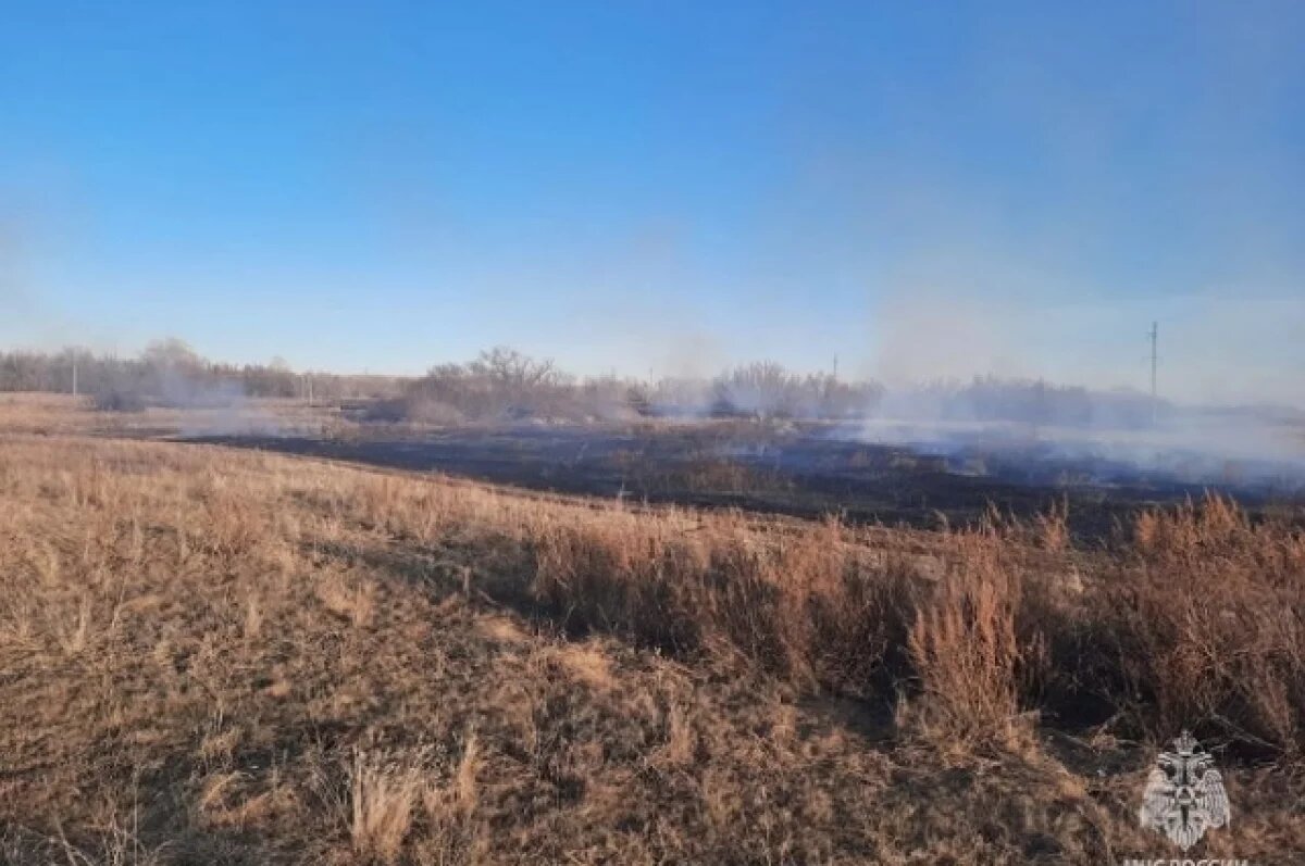    В Башкирии с 3 апреля вводят пожароопасный режим в лесах