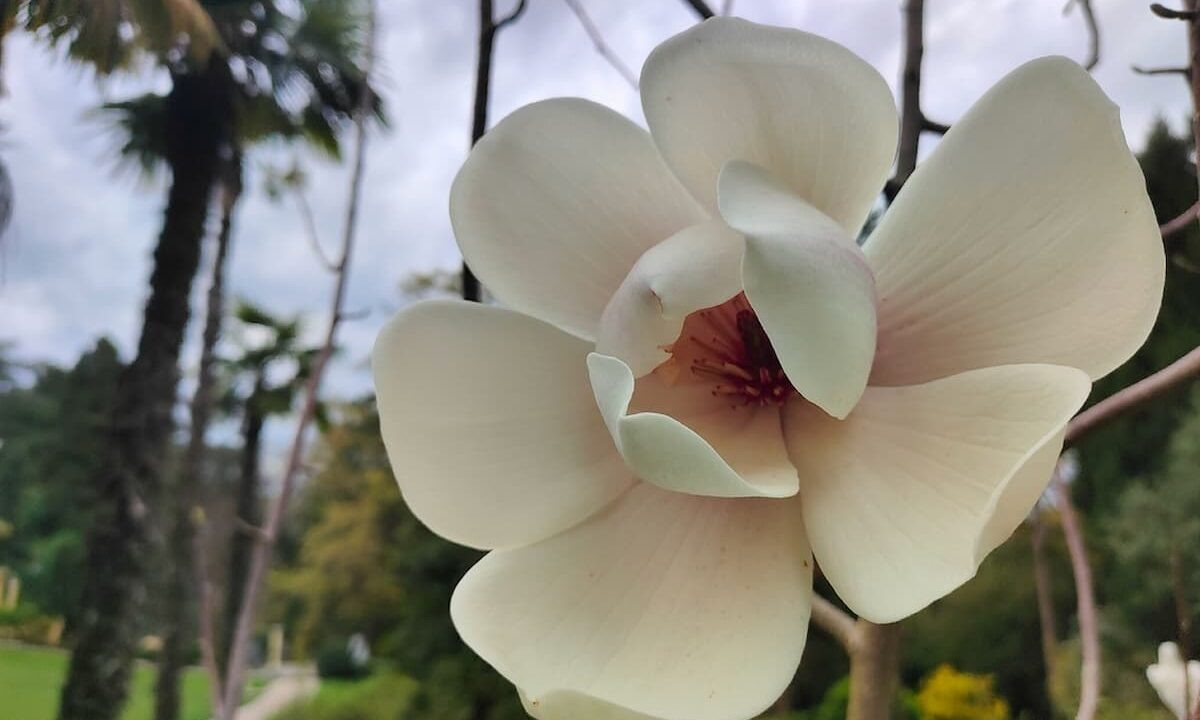    Фото vk.com/Галина Солтани