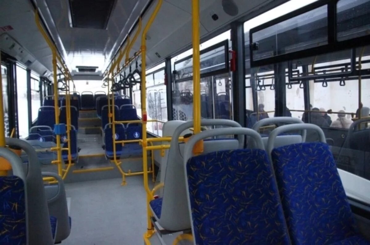    Автобусные перевозки на Урале адаптируют для инвалидов