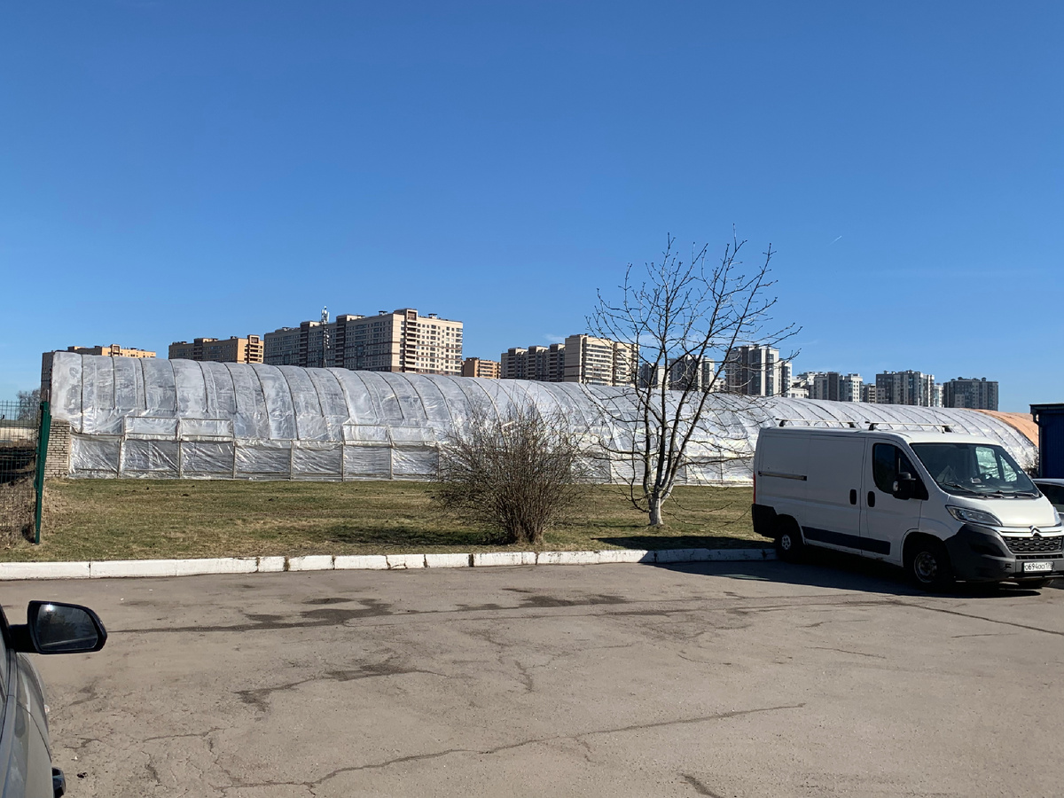 теплицы