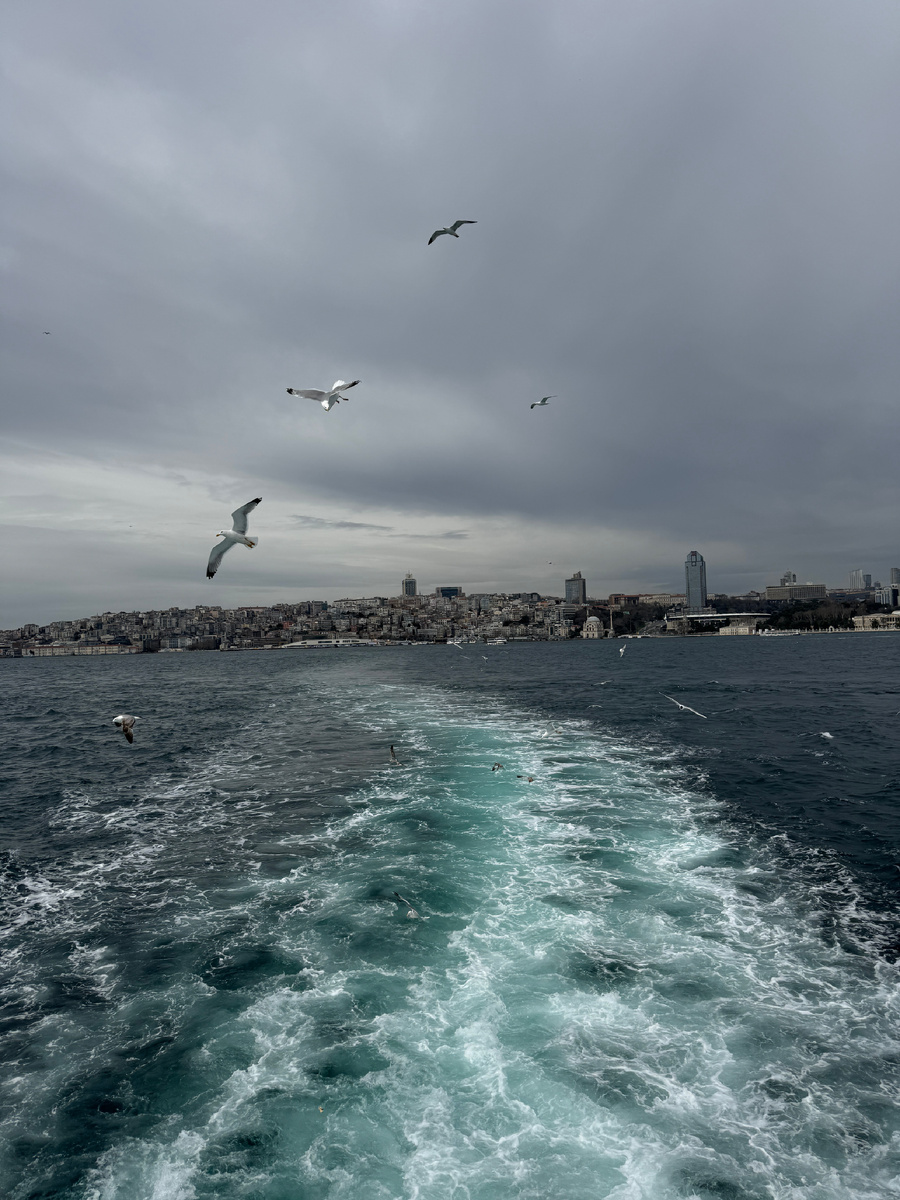 Вид с парома на район Бейоглу 