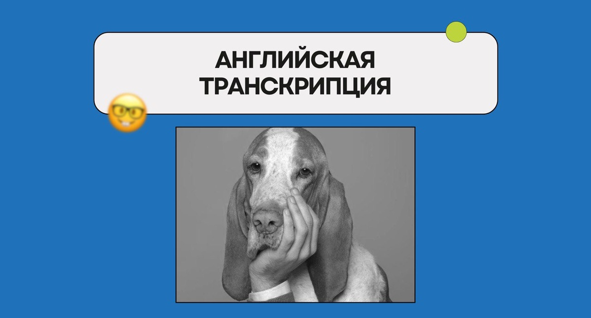 Изображение: Family English