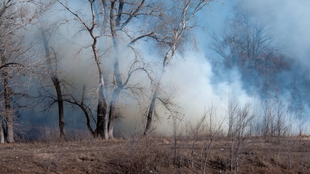    Фото: Svetlana Vozmilova/Global Look Press